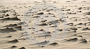 Sand structures at the beach of the Polish coast photo